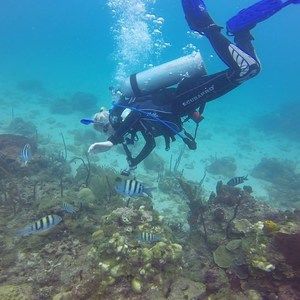 Meet your Posher, Monica